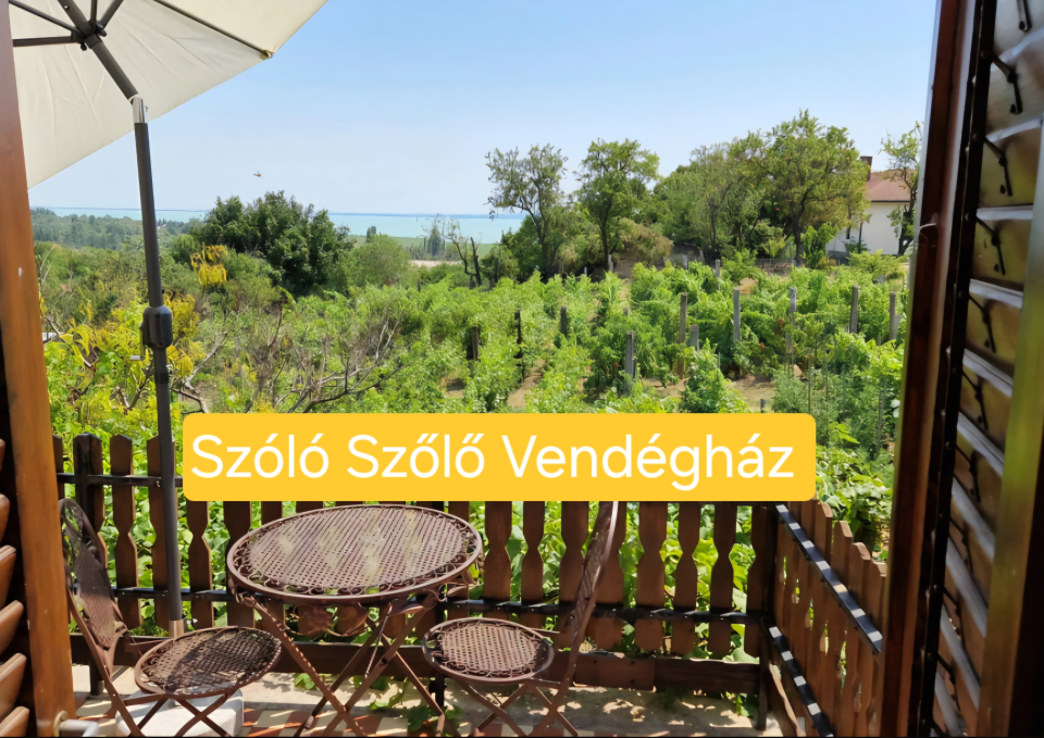 Szóló Szőlő Vendégház...-Csopak